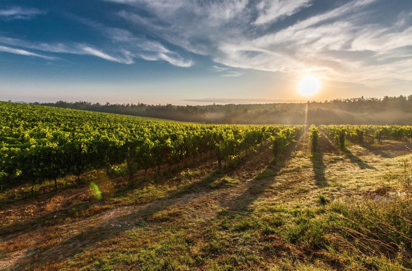  Bill Gates Triggers North Dakota Outrage With 2,100-Acre Farmland Buy