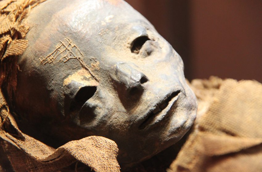  Gold tongues found in 2,000-year-old mummies in Egypt