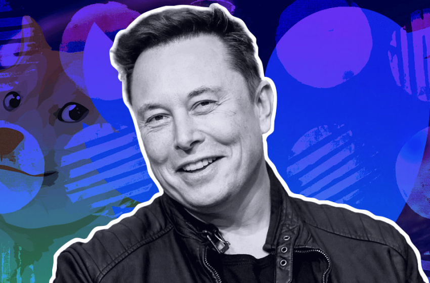  Dogecoin Holds Above This Bellwether Indicator, Elon Musk Agrees To Twitter Spaces Q&A: What’s Going On?