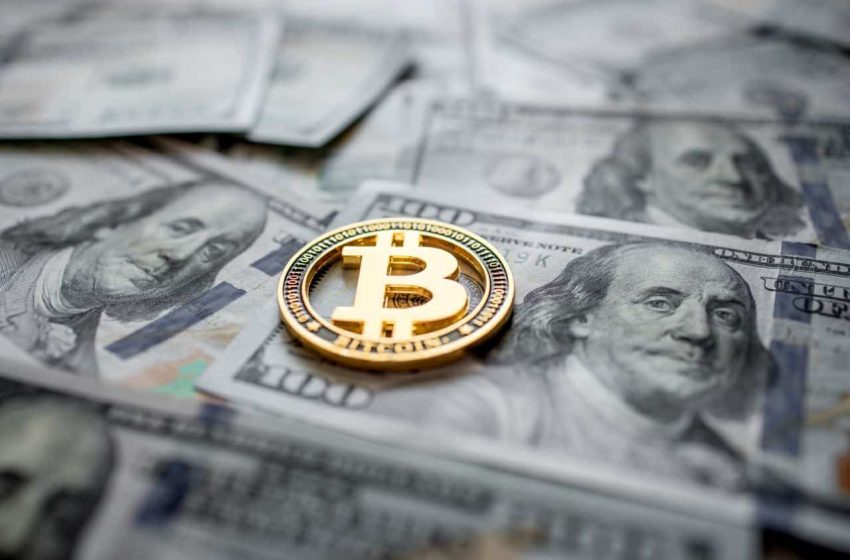  U.S. home-loan banks lent billions of dollars to crypto banks: Report