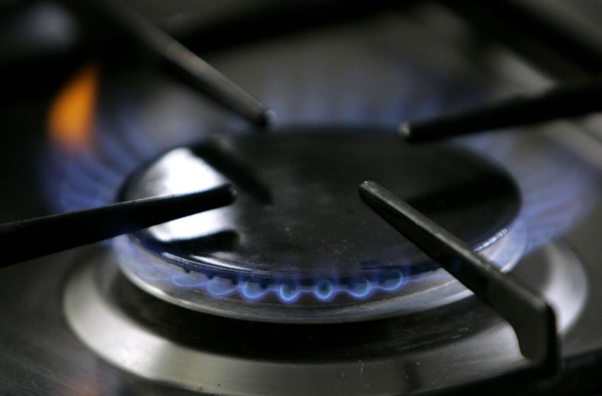  US considers banning gas stoves over health concerns