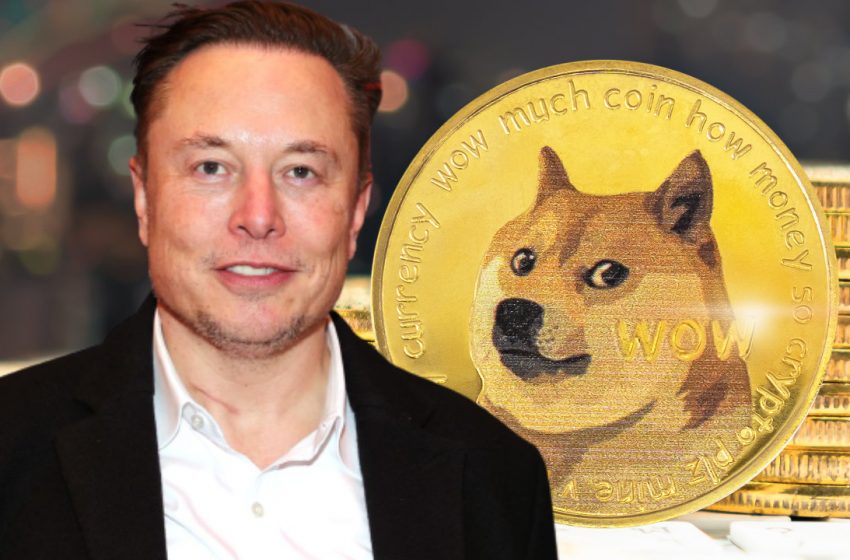  Elon Musk’s Confession Sends Dogecoin Knockoff Soaring  These Memecoins Also Rise