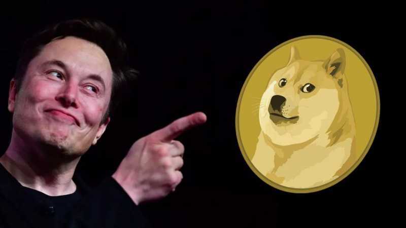  Elon Musk’s Favorite Dogecoin ‘Knockoff’ Outshines Shiba Inu With 6% Surge After Burning $1M Tokens