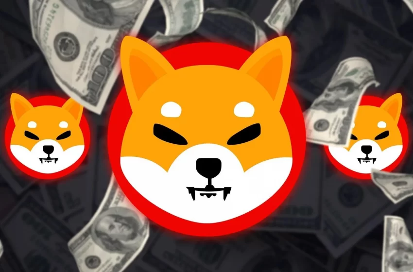  If You Invested $100 In Shiba Inu When The Coin Launched, Here’s How Much You’d Have Now