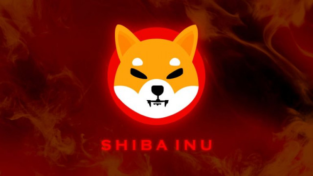  Shiba Inu Soars 7% After Lead Developer Shares Shibarium Invite: ‘Burn, Protect, Help, Grow’