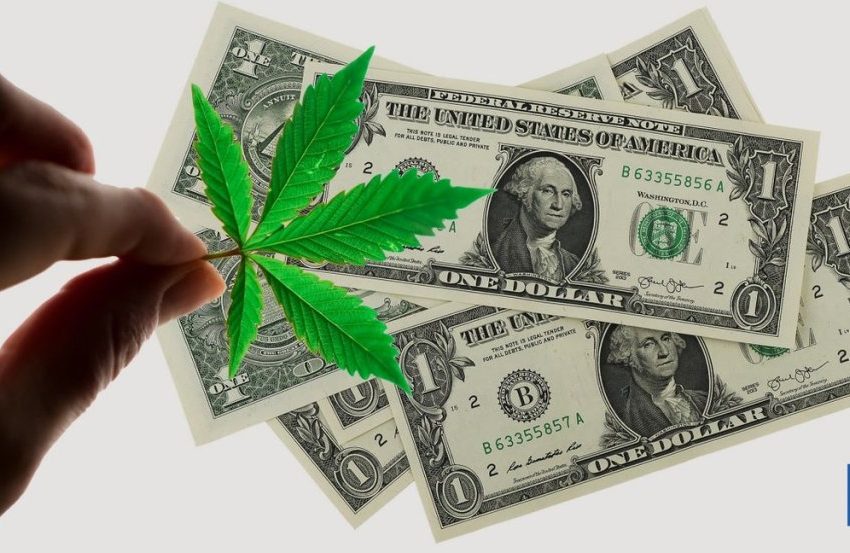  EXCLUSIVE: Cannabis Banking, Insurance & Lending Has Never Been More Accessible: Green Check Launches Game Changing Marketplace