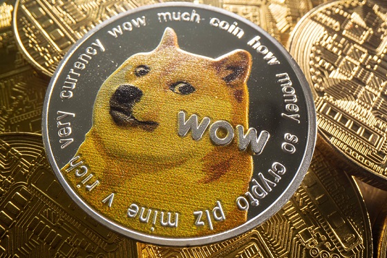  Much Wow! If You Invested $100 When Elon Musk First Tweeted About Dogecoin, Here’s How Much You’d Have Now