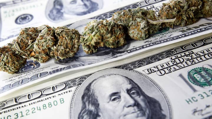  Fintech Cannabis Company Raises $6M Under CEO's Guidance, Opportunity Comes When You Focus On The Right Things